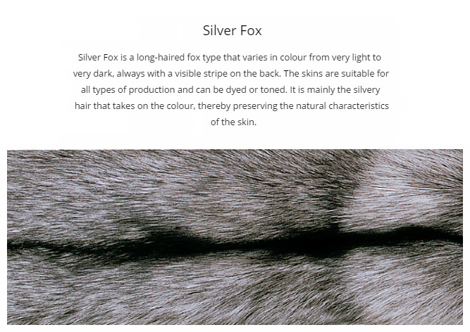 SAGA Silver Fox Fur