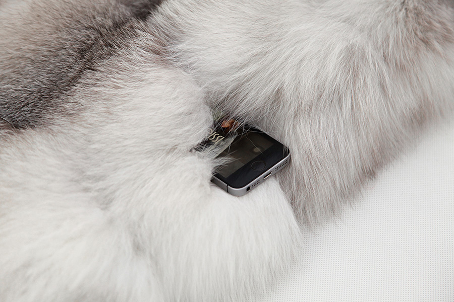 Shadow Blue Frost Fox Fur Hooded Vest 0003-16