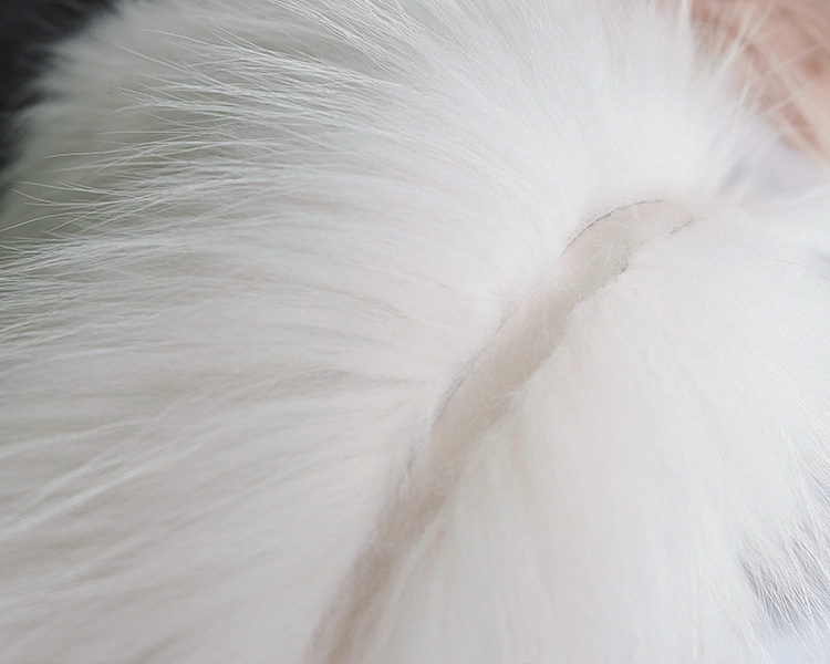 Raccoon Fur Vest 310-6